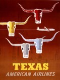 american airlines texas