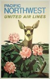 biche et rhododendrons