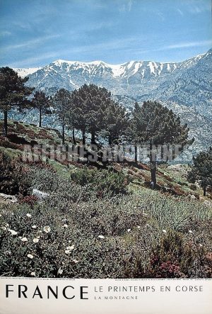 Corse le maquis affiche originale format 40x60 cm circa 1960