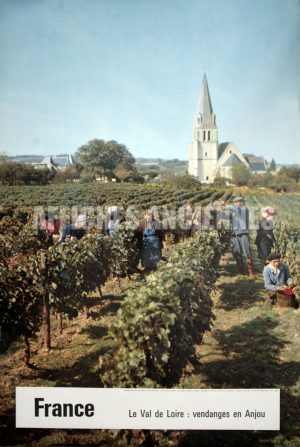 FRANCE LES VENDANGES EN ANJOU LE VAL DE LOIRE AFFICHE ANCIENNE FORMAT 40X60 CM CIRCA 1960