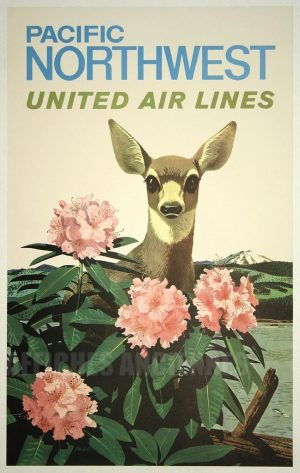 REPRODUDUCTION AFFICHE AMERIQUE DU NORD UNITED AIR LINES BICHE ET RHODODENDRON