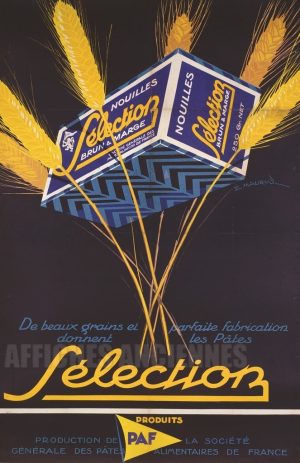 AFICHE ANCIENNE PATES NOUILLES SELECTION